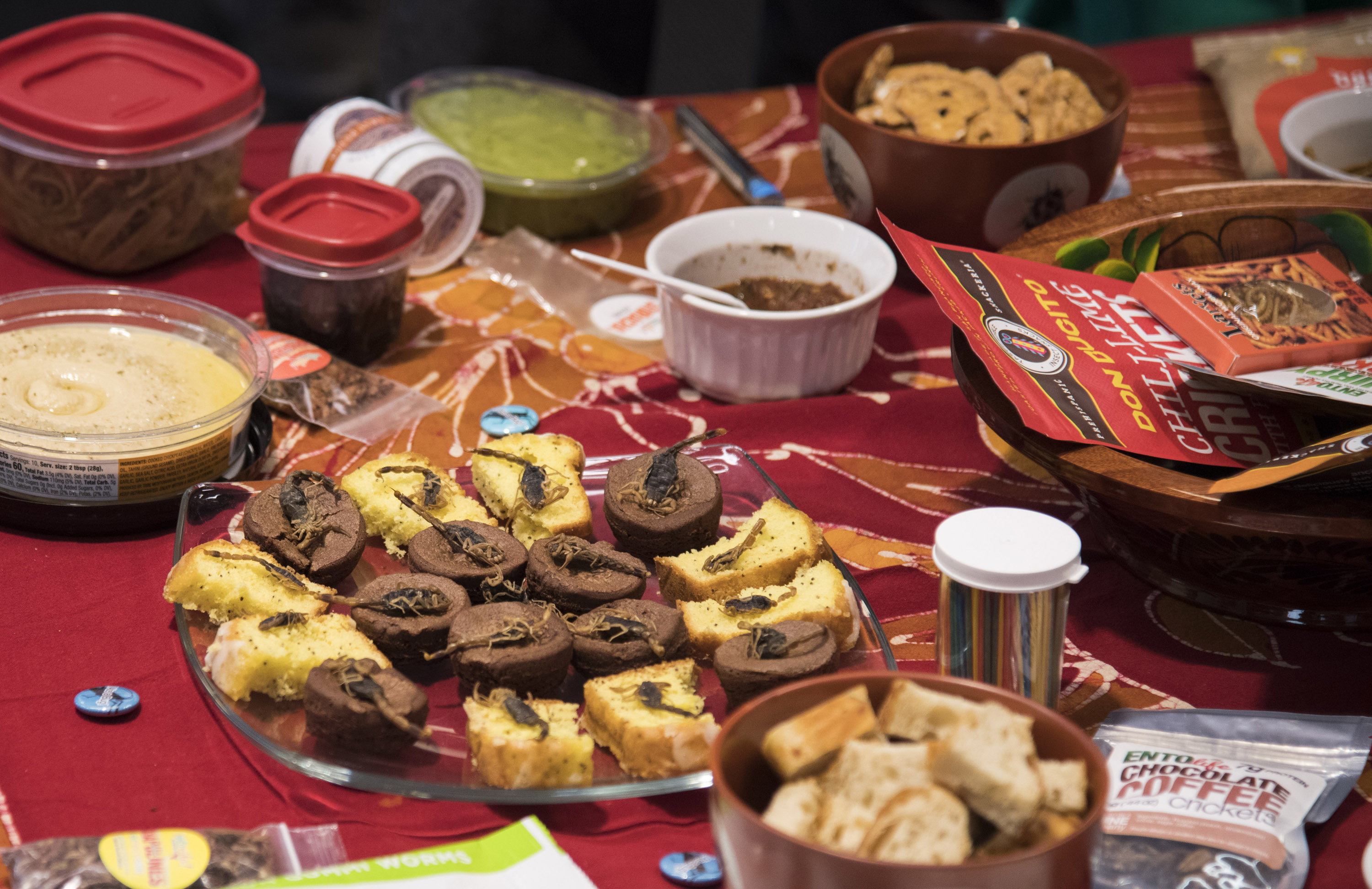 Trick or treat? Students at Carthage College eat insects on Halloween